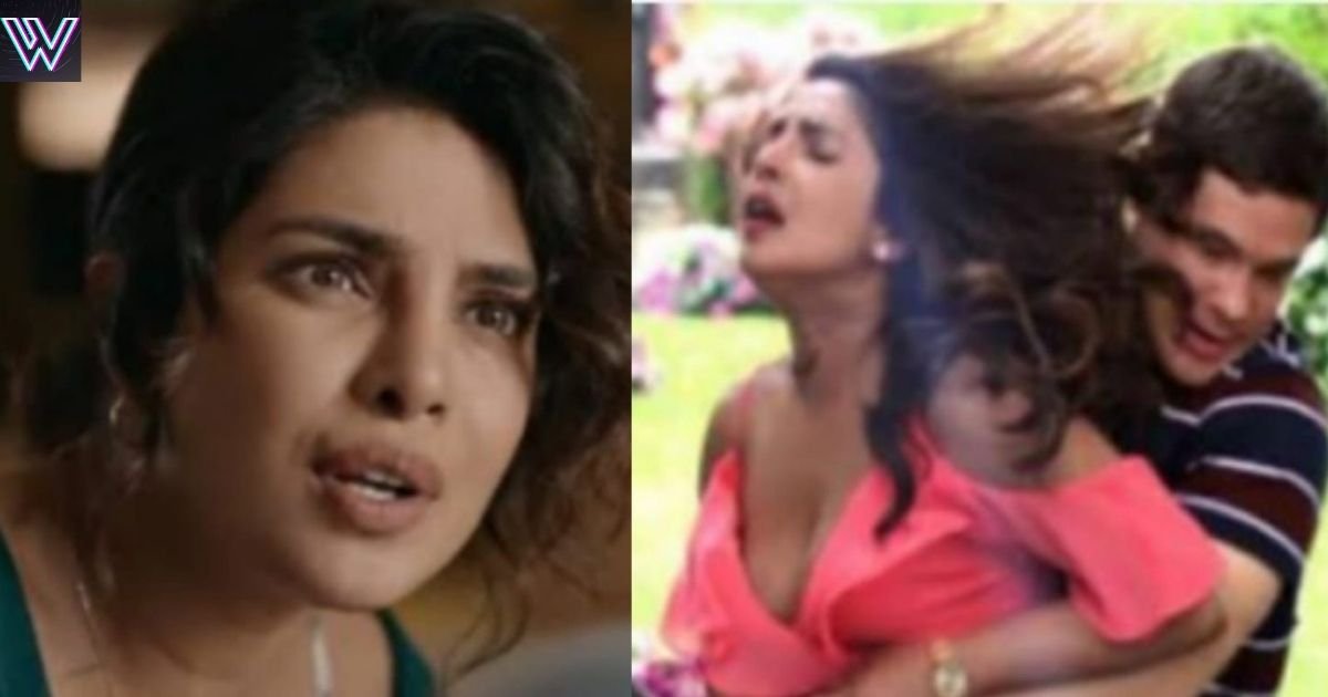 The director did not like Priyanka's small boobs